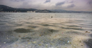 "Aqua Vitae" by Annette Louise Solakoğlu. 