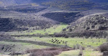 The territories near the frontier village of Voskepar in northeastern Armenia that might be handed over to Azerbaijan, March 27, 2024. (AFP Photo)
