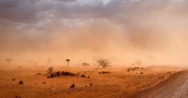 WWA researchers link the April heat waves in Mali and Burkina Faso to global warming. (Shutterstock Photo)