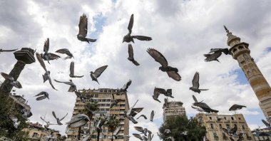 Pigeons fly over Marjeh Square in the center of Damascus, Syria, April 14, 2024. (AFP Photo)