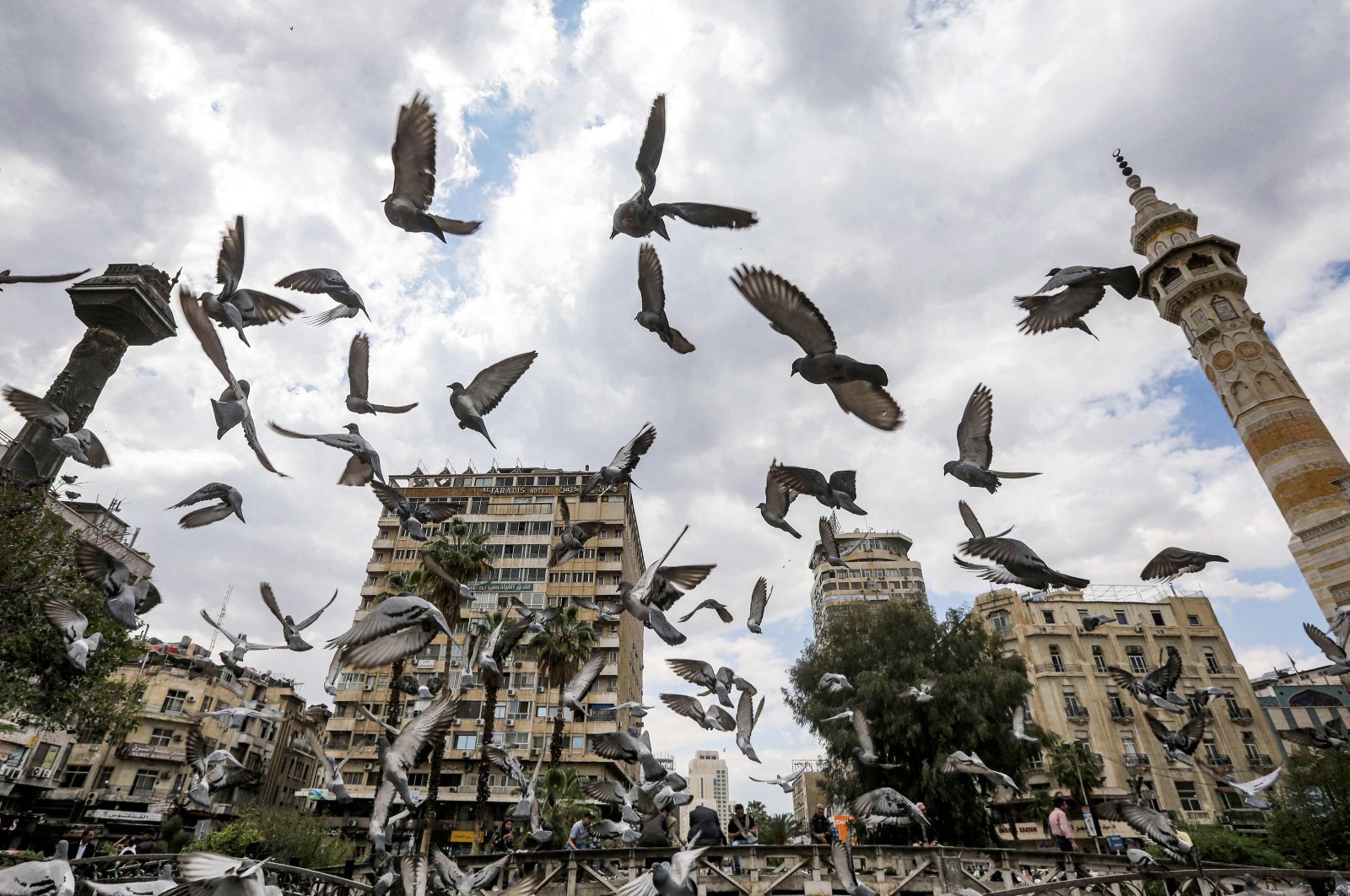 Pigeons fly over Marjeh Square in the center of Damascus, Syria, April 14, 2024. (AFP Photo)