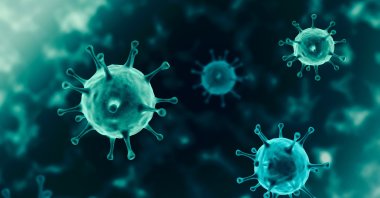 Dutch researchers document a 613-day COVID-19 infection in an immunocompromised patient. (Shutterstock Photo)