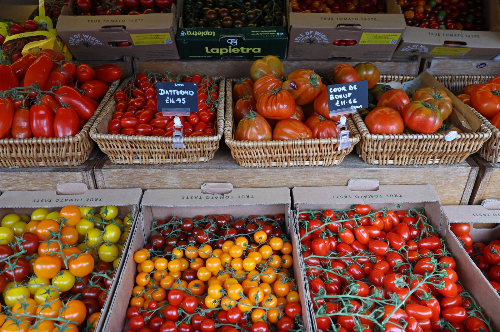Varieties of tomatoes are displayed for sale at Panzer&#039;s Delicatessen and Grocery in London, Britain, March 26, 2024. (Reuters Photo)