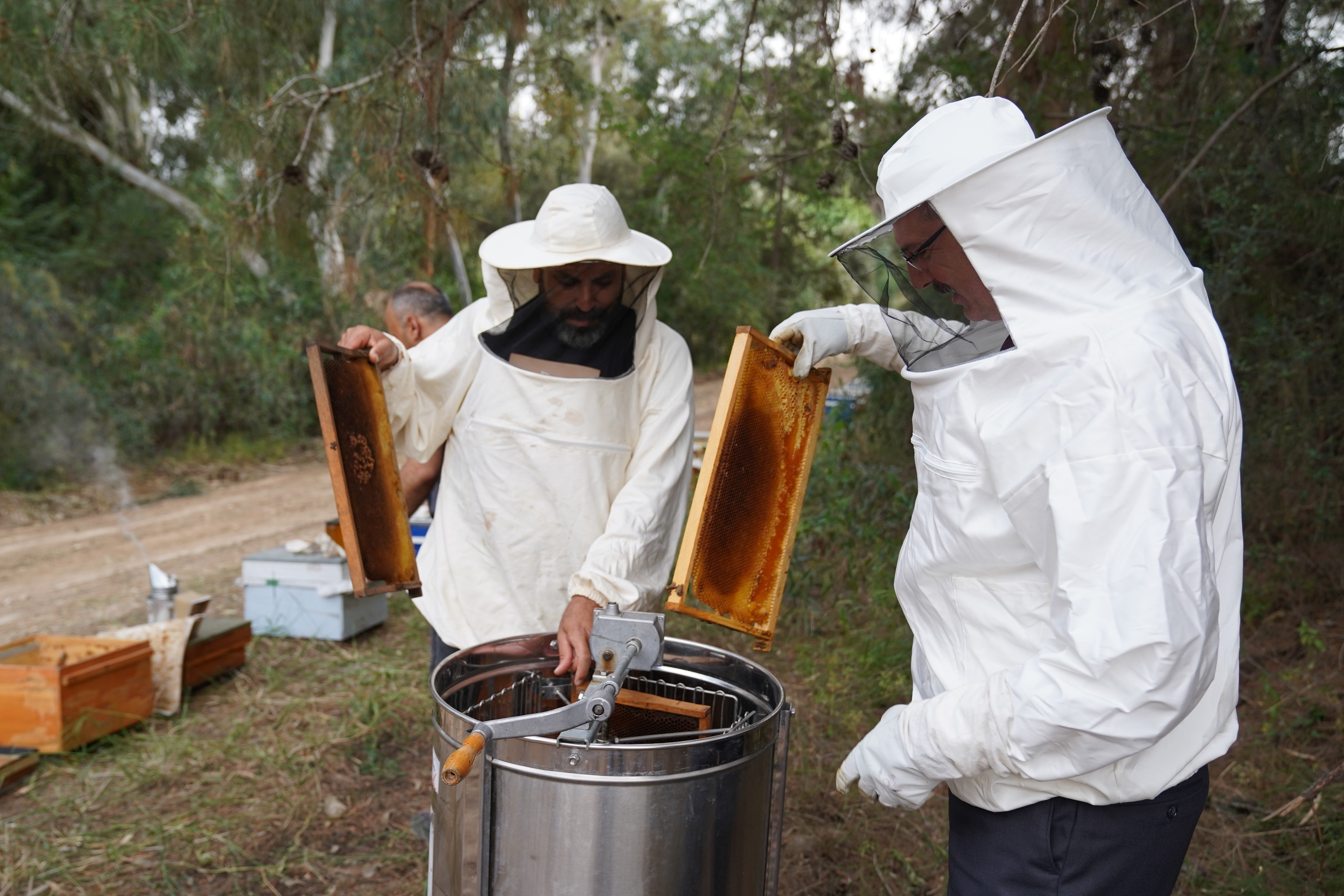 Beekeepers harvest the season&#039;s first honey, Adana, Türkiye, April 28, 2024. (IHA Photo)