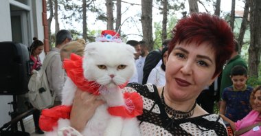 Cat beauty contest with 28 participants was held at the Tokat Veterinary Chamber's garden for World Veterinary Day, Tokat, Türkiye, April, 28, 2024. (AA Photo)