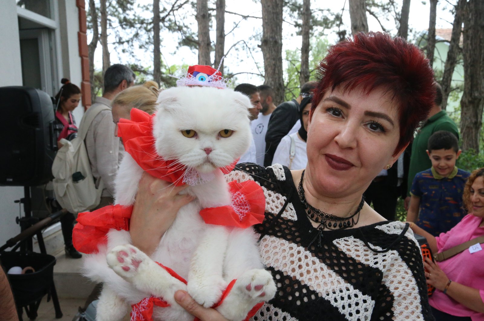Cat beauty contest with 28 participants was held at the Tokat Veterinary Chamber&#039;s garden for World Veterinary Day, Tokat, Türkiye, April, 28, 2024. (AA Photo)
