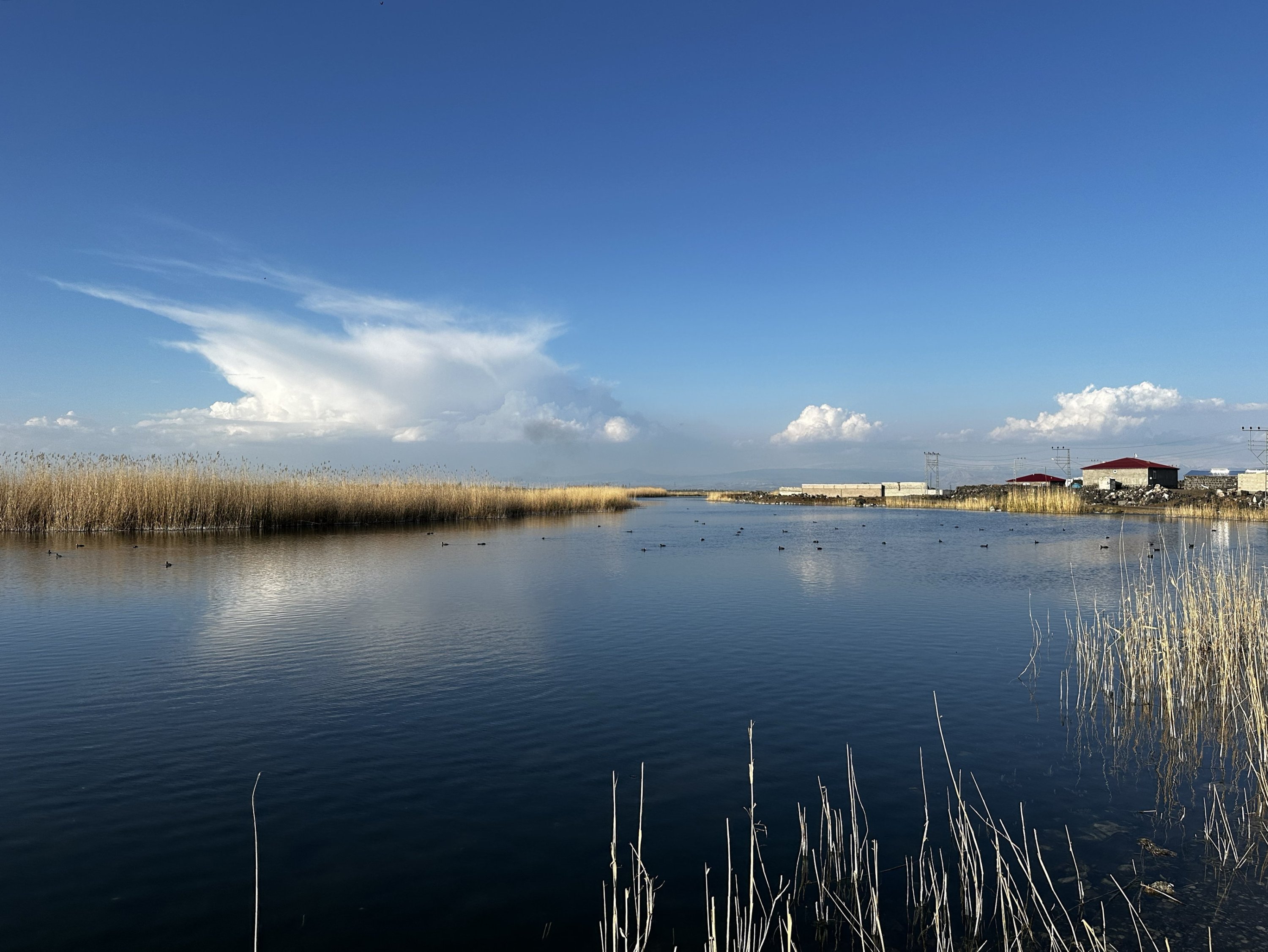 Karasu Wetland, formed by the glacial waters of Mount Ağrı, eastern Türkiye. April 29, 2024. (AA Photos)