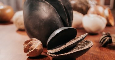 A piece displayed at Erimtan Archaeology and Art Museum, Ankara, Türkiye, April 1, 2024. (Photo Courtesy of Erimtan Archaeology and Art Museum)