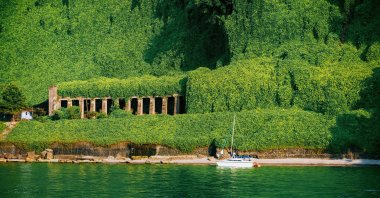 Encompassing 60% of the region, Adjara&#039;s forests are a sanctuary of biodiversity, Adjara, Georgia, April 29, 2024. (Photo by Funda Karayel)