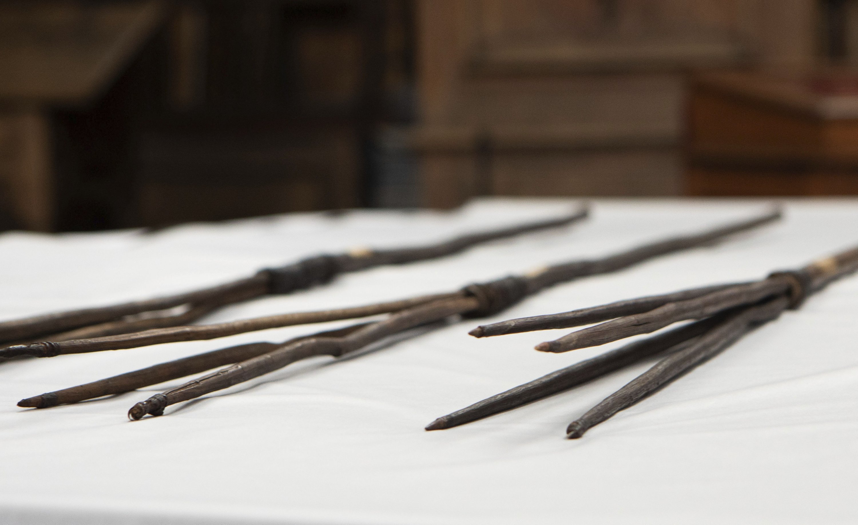 The four Aboriginal spears that were brought to England by Captain James Cook more than 250 years ago and have now been repatriated to Australia in a ceremony at Trinity College in Cambridge, April 23, 2024. (AP Photo)
