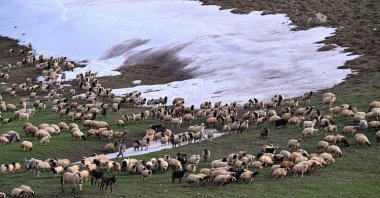 The blend of spring blossoms and lingering winter in Van showcases its unique climate dynamics, Van, Türkiye. April 24, 2024. (AA Photo)