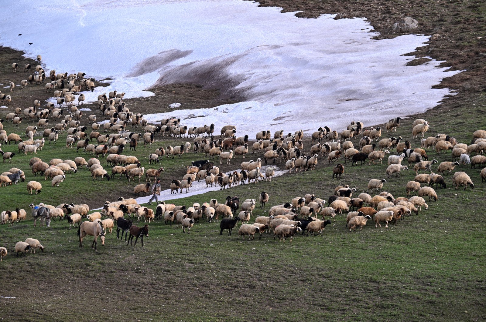 The blend of spring blossoms and lingering winter in Van showcases its unique climate dynamics, Van, Türkiye. April 24, 2024. (AA Photo)