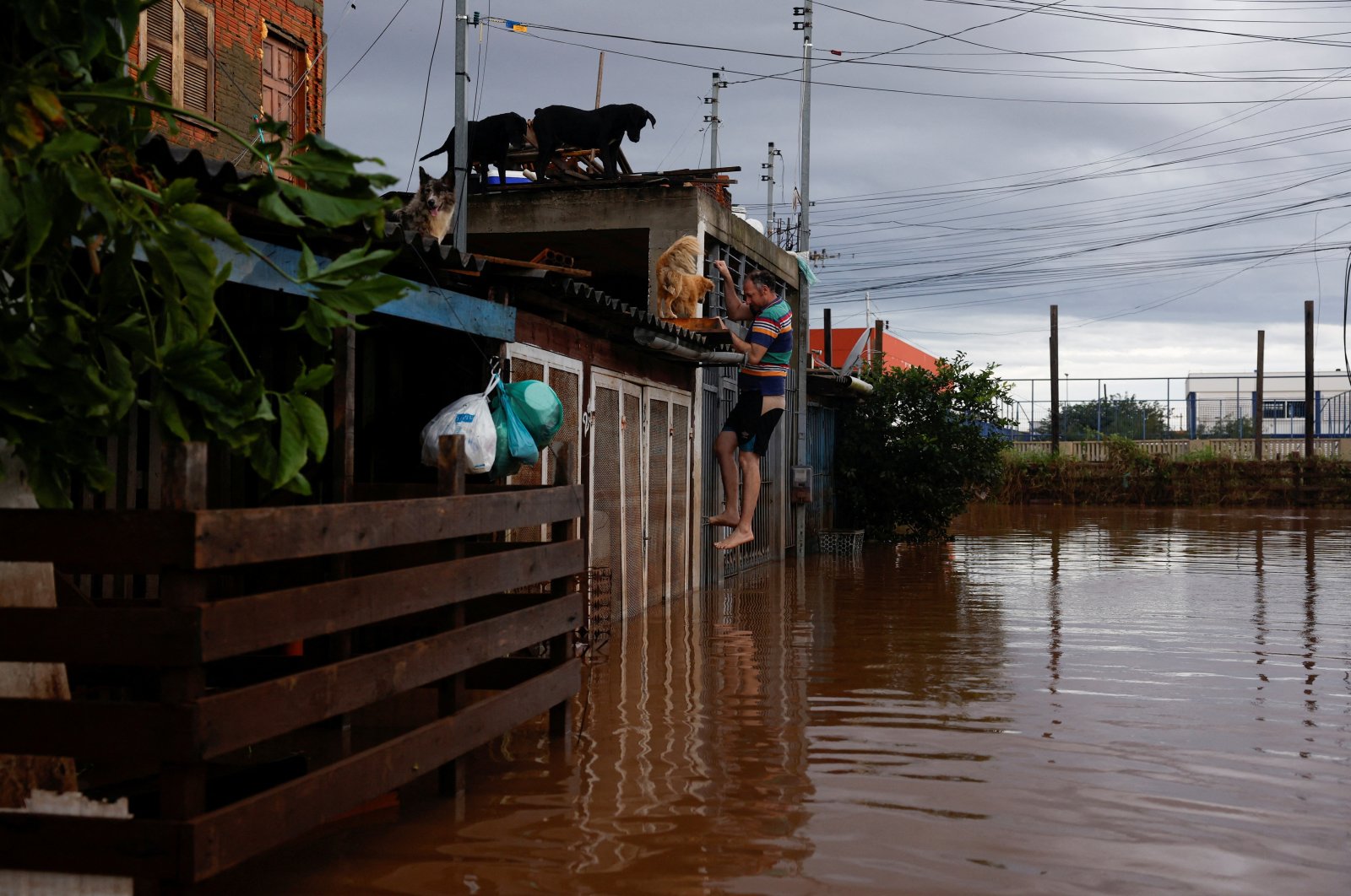 A man climbs a gate to access a house in a flooded area in Eldorado do Sul, Rio Grande do Sul state, Brazil, May 8, 2024. (Reuters Photo)