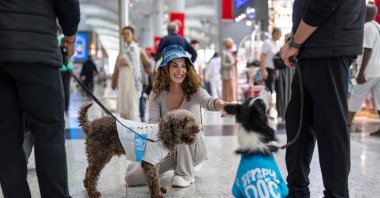 A traveler pets a therapy dog providing solace to stressed travelers before they board their flight at Istanbul Airport, Istanbul, Türkiye, May 3, 2024. (AFP Photo)