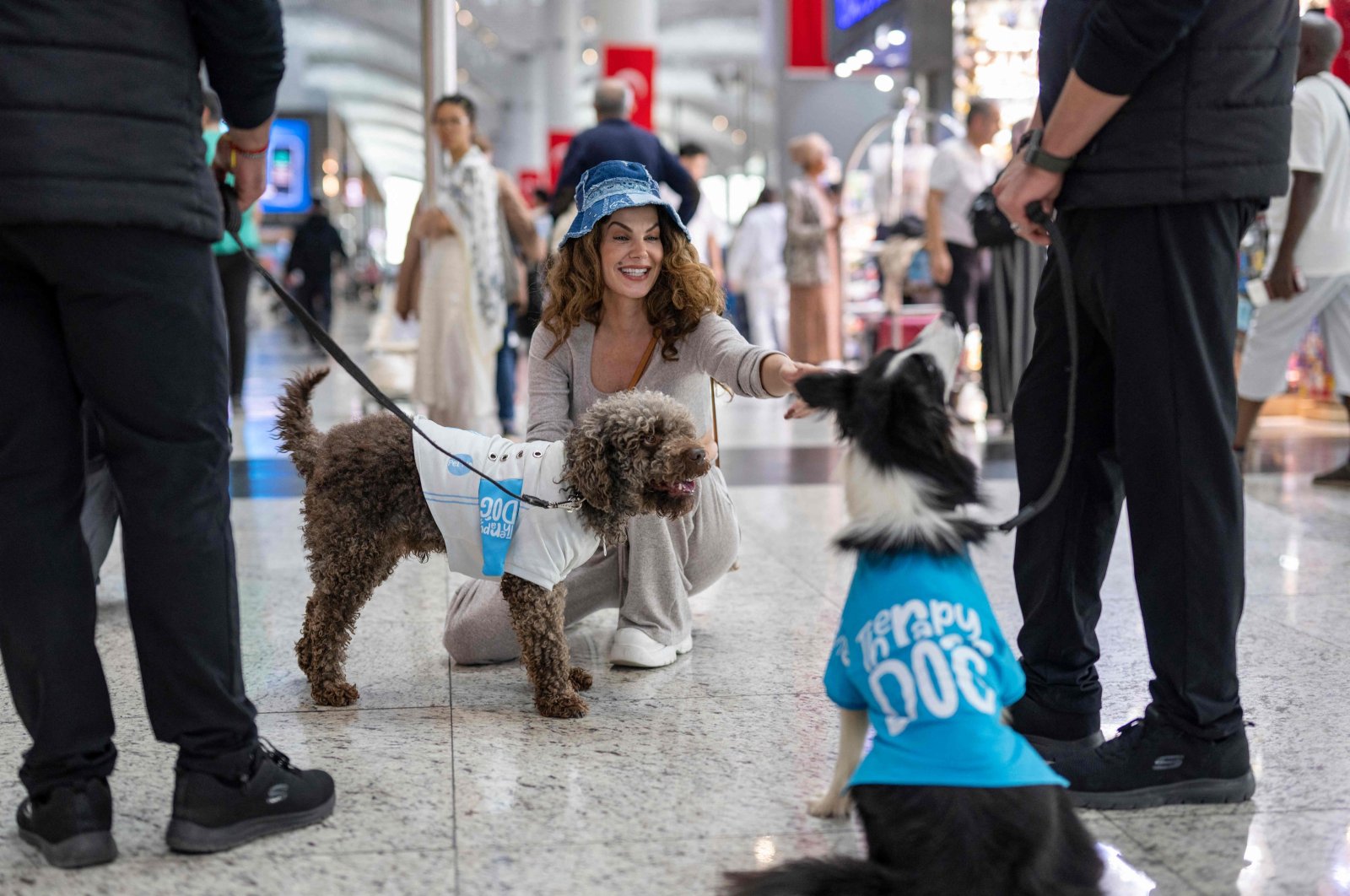 A traveler pets a therapy dog providing solace to stressed travelers before they board their flight at Istanbul Airport, Istanbul, Türkiye, May 3, 2024. (AFP Photo)