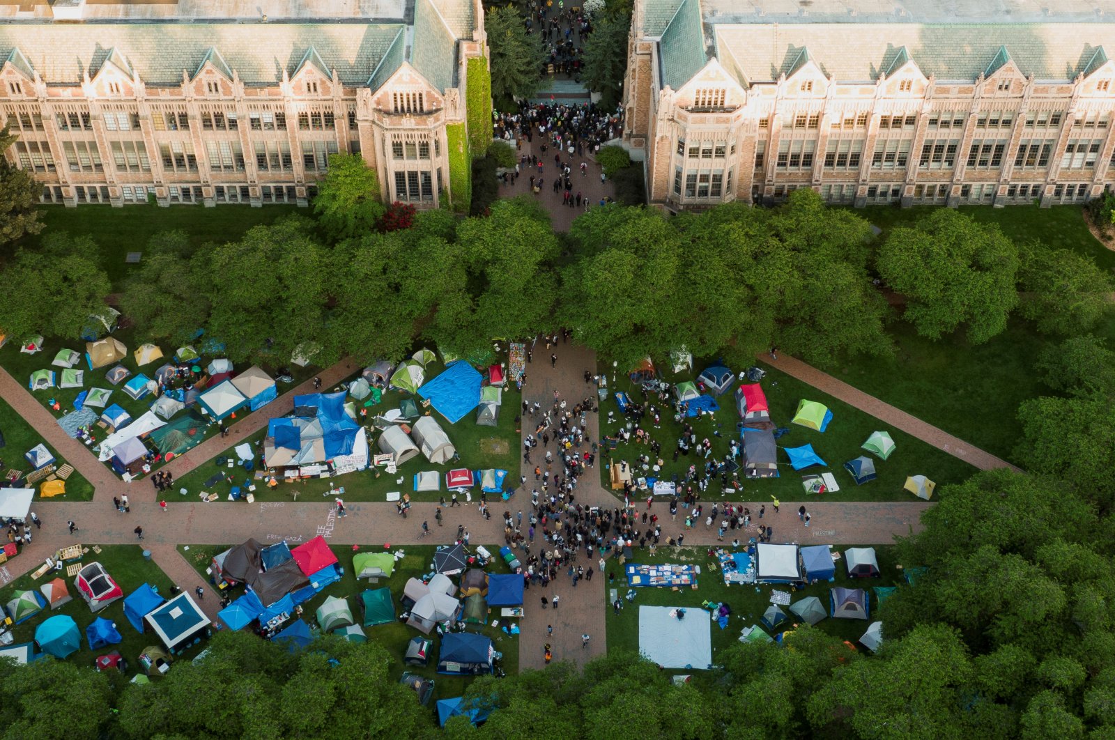 A drone view shows demonstrators rallying at a protest against Israel&#039;s war on Gaza, at the University of Washington in Seattle, Washington, U.S., May 7, 2024. (Reuters Photo)