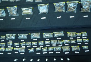 Authorities display the 88 liquid-filled tubes and 1,500 specimens of scorpions, tarantulas and spiders that were confiscated, Istanbul, Türkiye, May 13, 2024. (AA Photo)