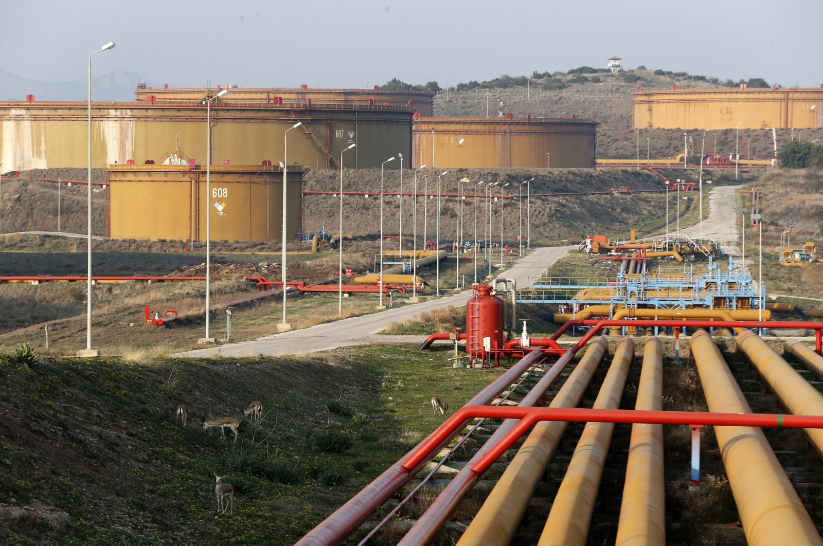 A general view of oil tanks at the Mediterranean port of Ceyhan, which is run by the state-owned Petroleum Pipeline Corporation (BOTAŞ), some 70 kilometers (43.5 miles) from Adana, Türkiye, Feb. 19, 2014. (Reuters Photo)