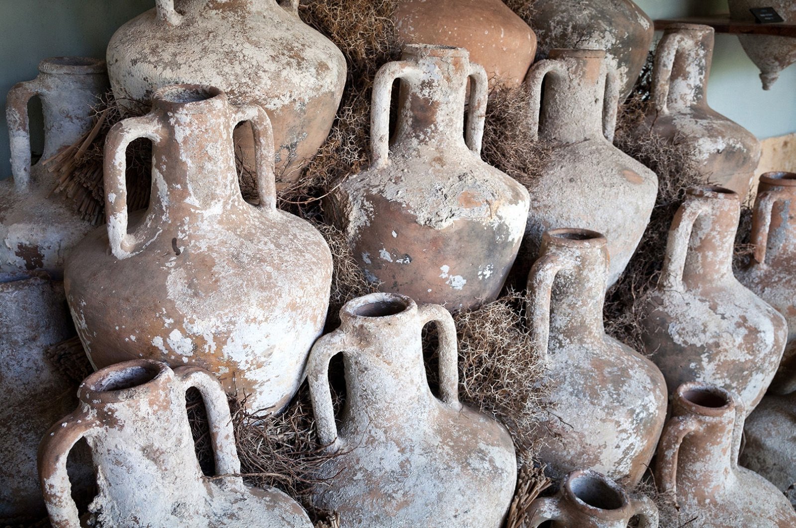 Ancient traditions meet modern revival in Azerbaijan's viticulture - Vimarsana News