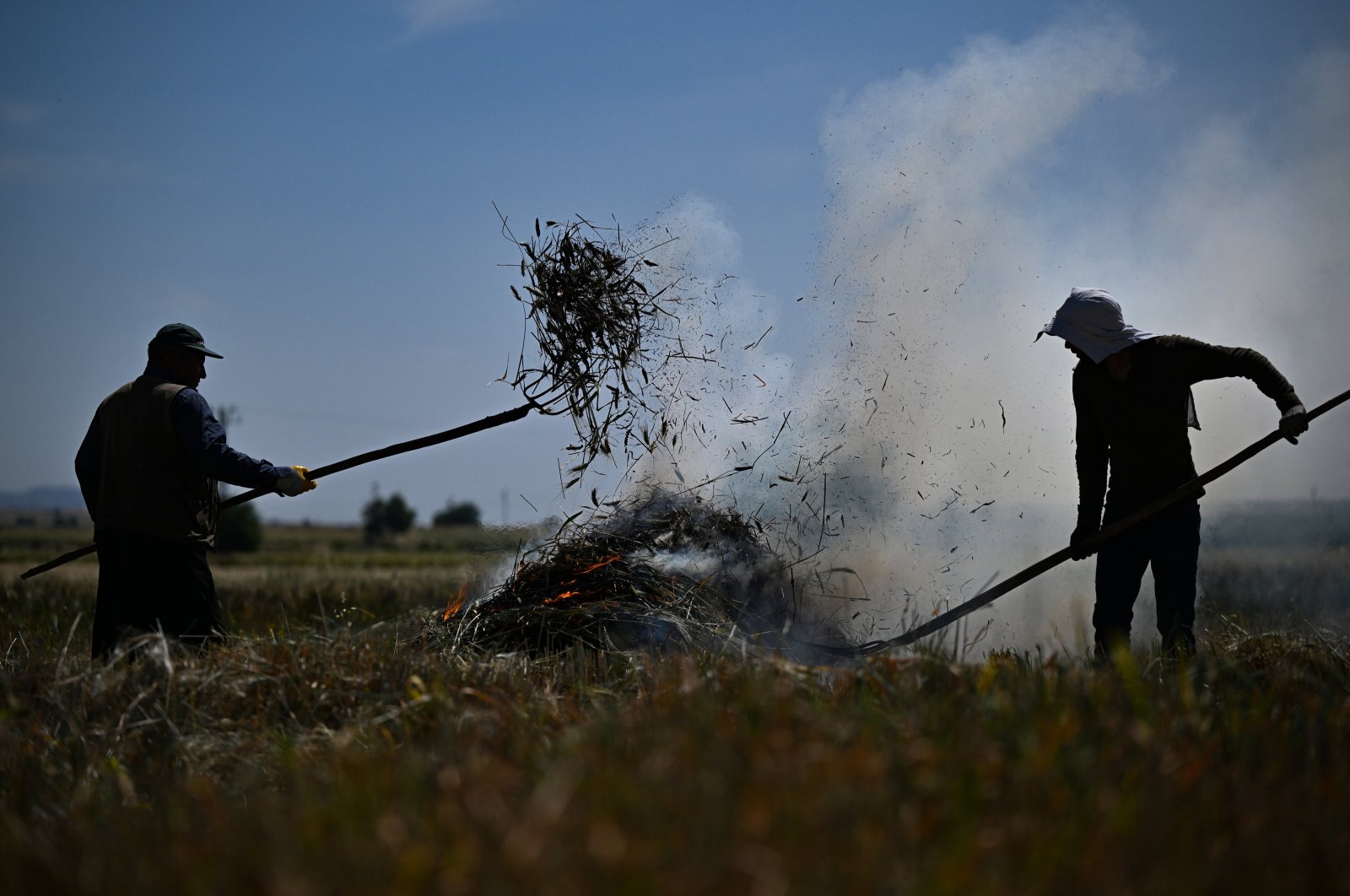 Gaziantep çiftçileri Güneydoğu Anadolu’da yıllık frit hasadına başlıyor