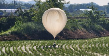 A balloon believed to have been sent by North Korea, carrying trash and excrement, is seen over a rice field at Cheorwon, South Korea, May 29, 2024. (Reuters Photo)