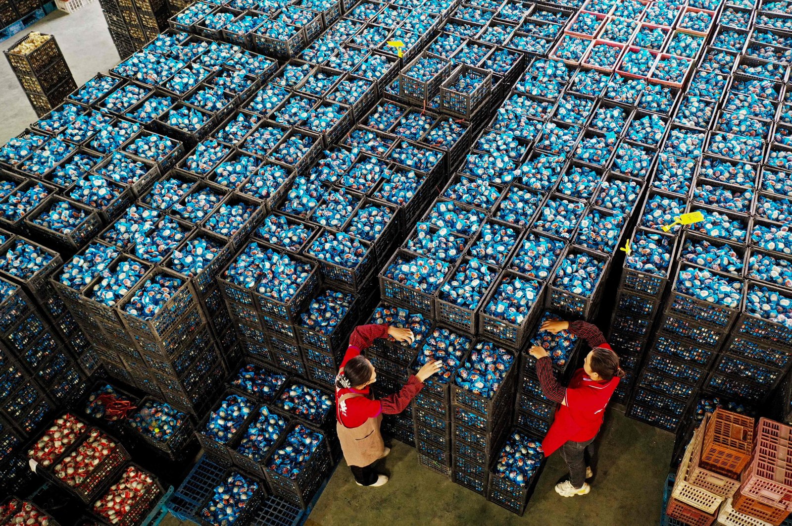 Employees work at a factory that produces salted duck eggs, which are traditionally eaten during the Dragon Boat festival, in Huaibei, eastern Anhui province, China, May 26, 2024. (AFP Photo)