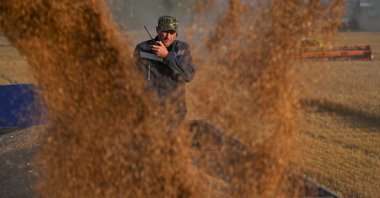 An employee controls the loading of wheat into a truck during harvest in a field of a local agricultural enterprise in the Cherlaksky district of the Omsk region, Russia, Sept. 8, 2023. (Reuters Photo)