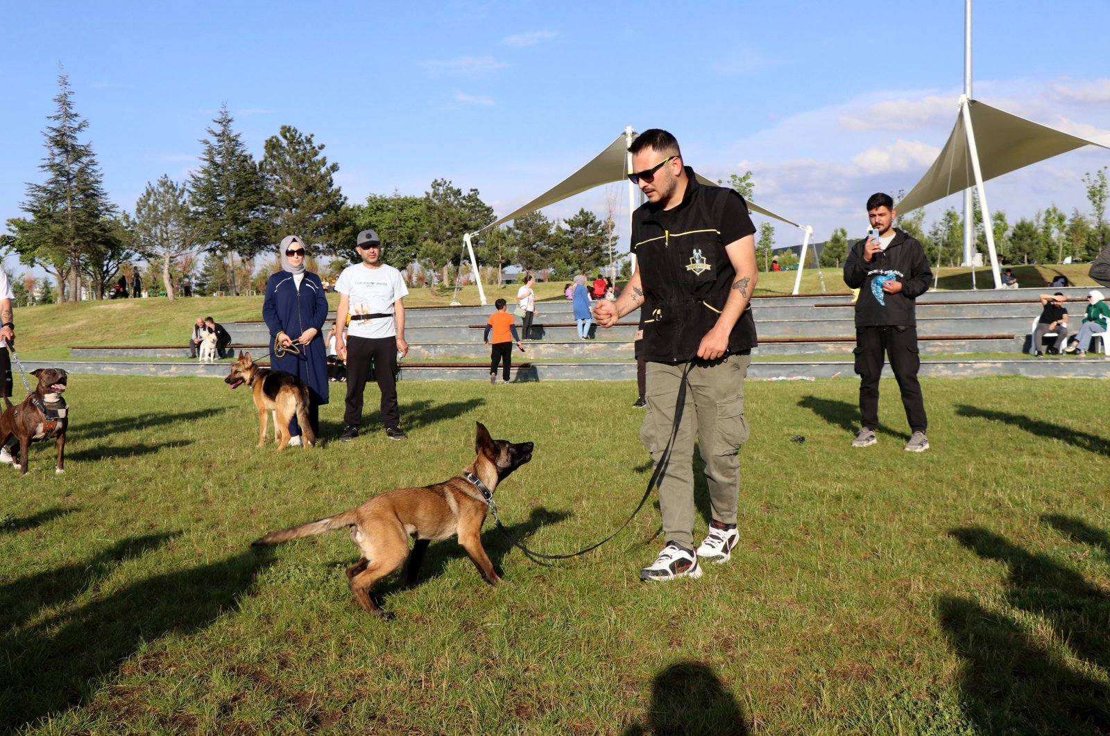 Dogs are trained at the Proteo Park, Adıyaman, Türkiye, May 26, 2024.