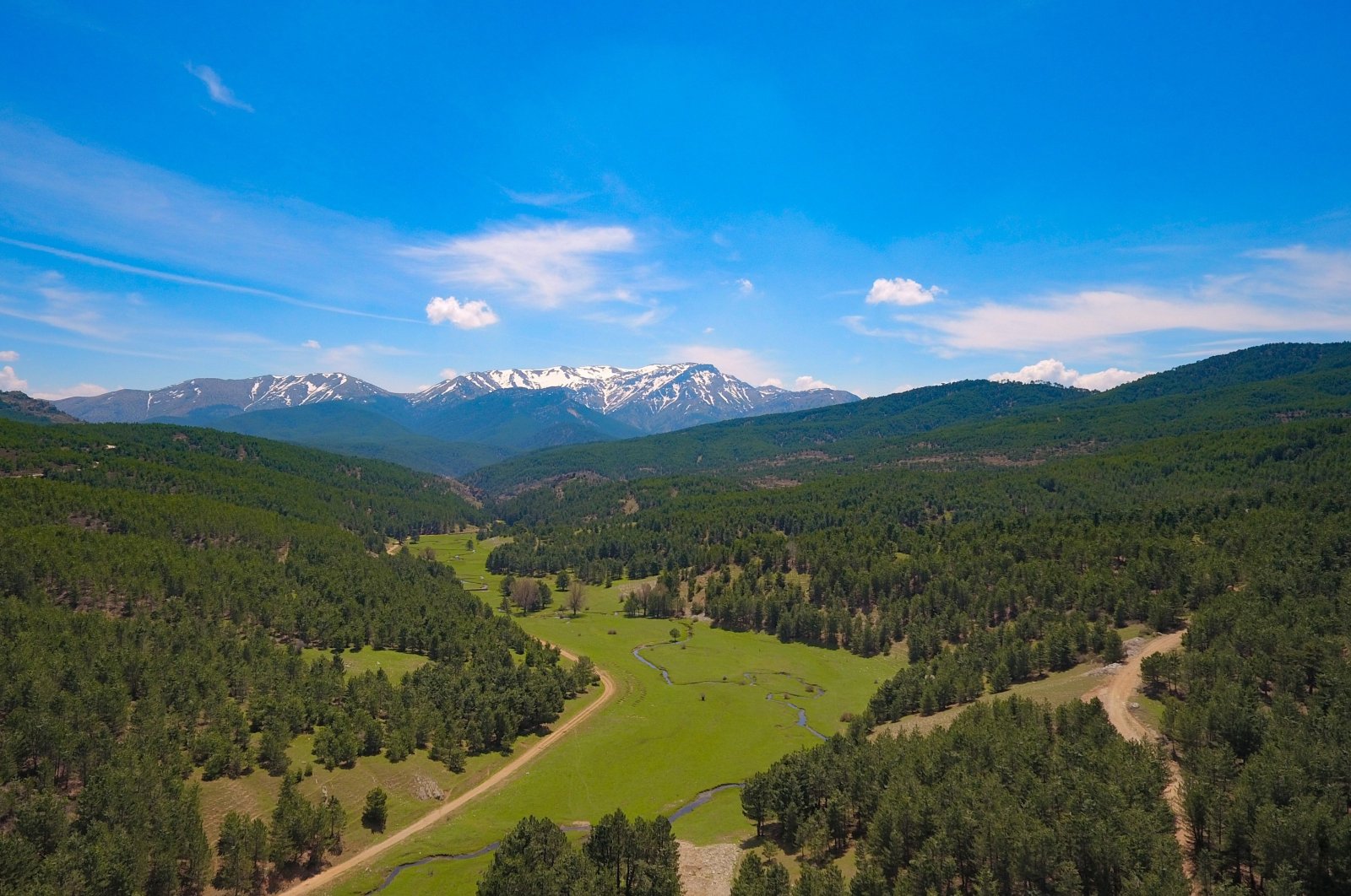 An aerial view of a forest area in Denizli province, southwestern Türkiye, May 27, 2024. (IHA Photo)