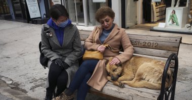 Women chat while sitting next to a stray dog, in Ankara, Türkiye, March 2, 2022. (AP Photo)