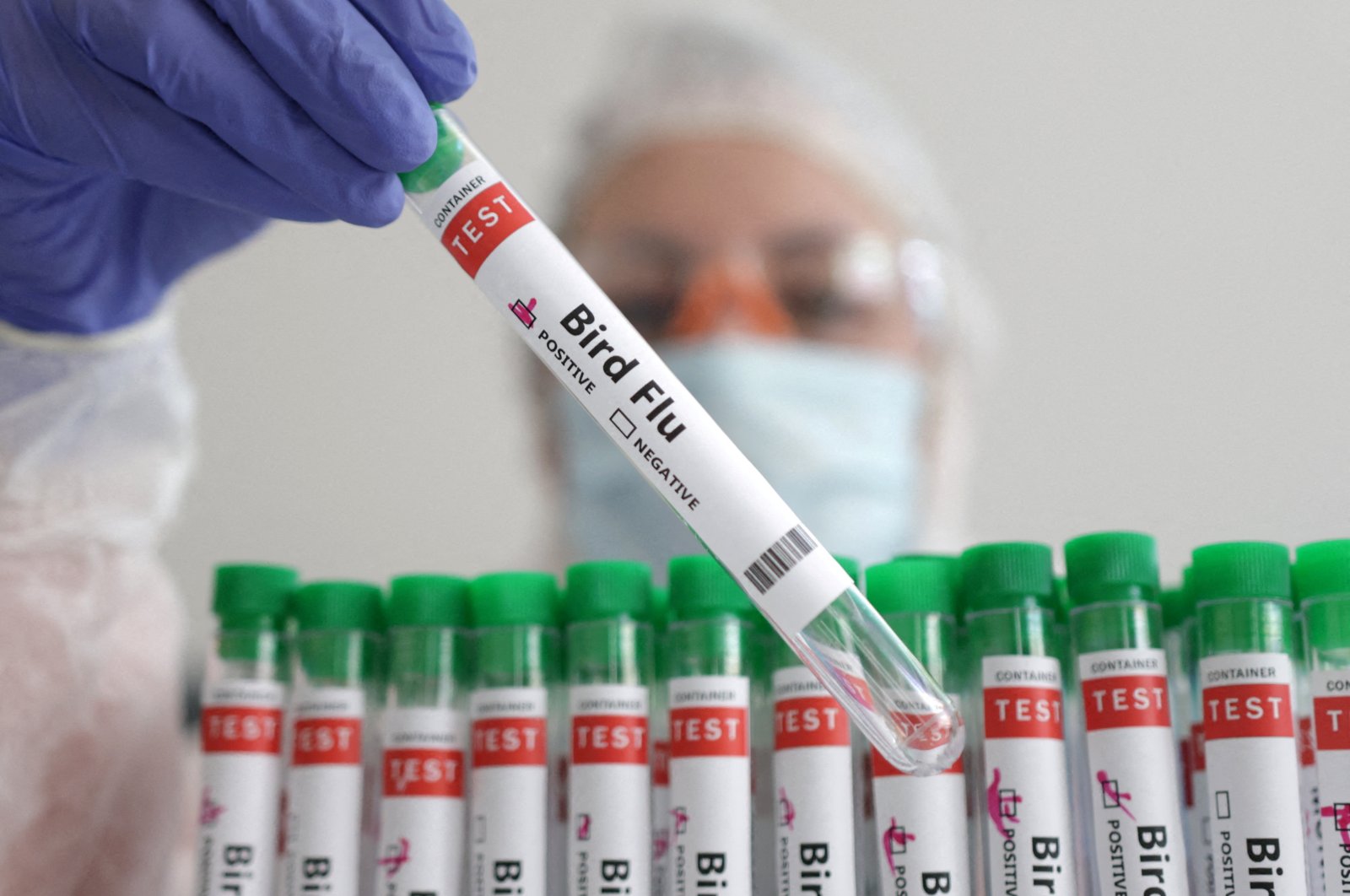 A person holds a test tube labeled "Bird Flu" in this illustration, Jan. 14, 2023. (Reuters Photo)