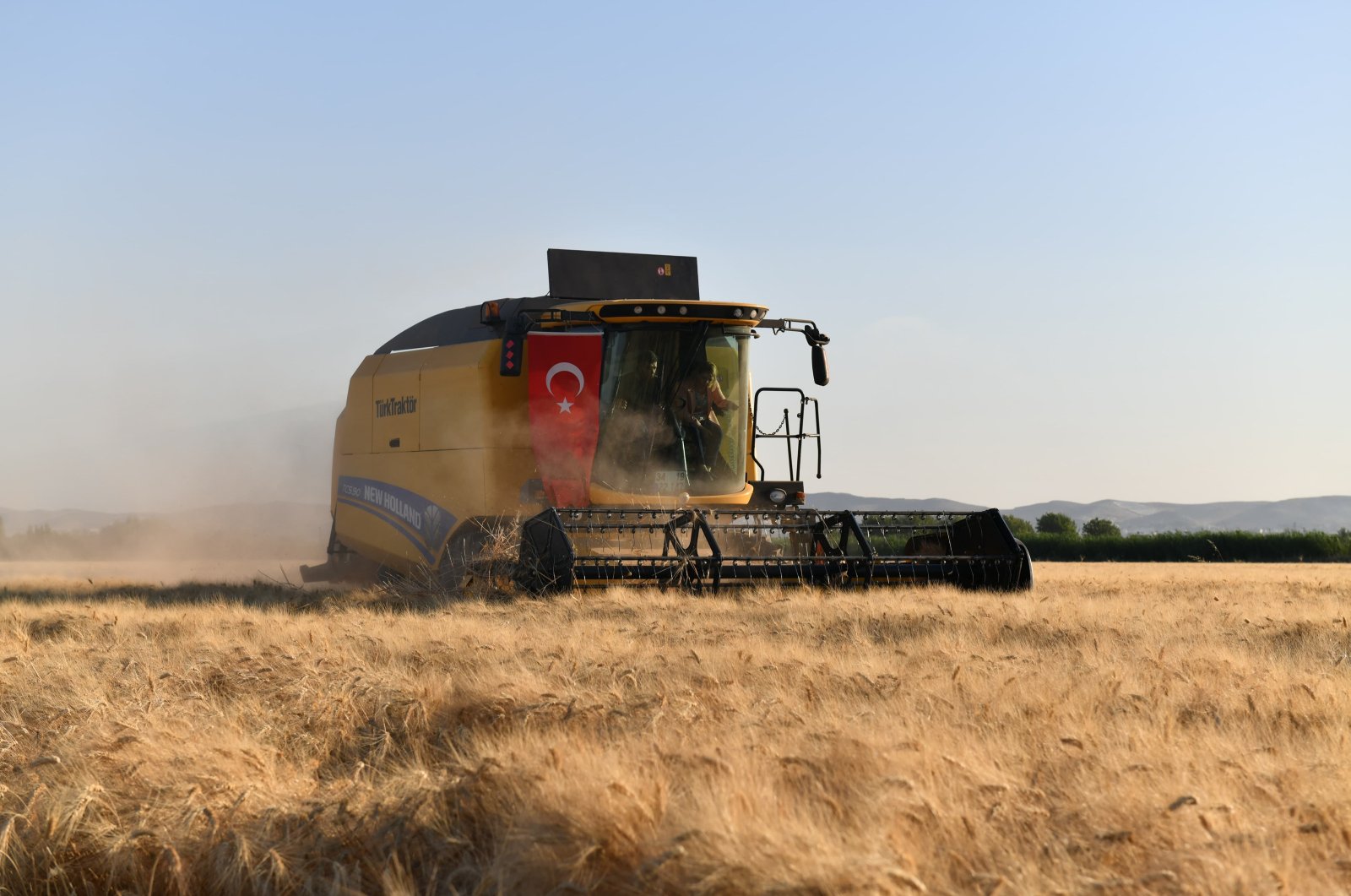 A combine harvests wheat in Şanlıurfa province, southeastern Türkiye, June 7, 2024. (AA Photo)