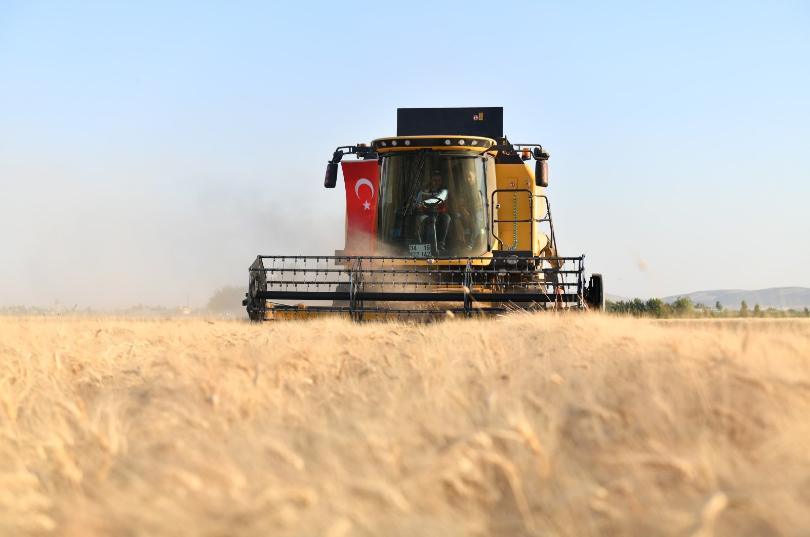 A combine harvests wheat in Şanlıurfa province, southeastern Türkiye, June 7, 2024. (AA Photo)