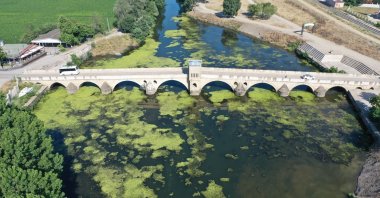 An aerial view shows the algae and duckweed taking over Tunca River, Edirne, Türkiye, June 20, 2024. (AA Photo)
