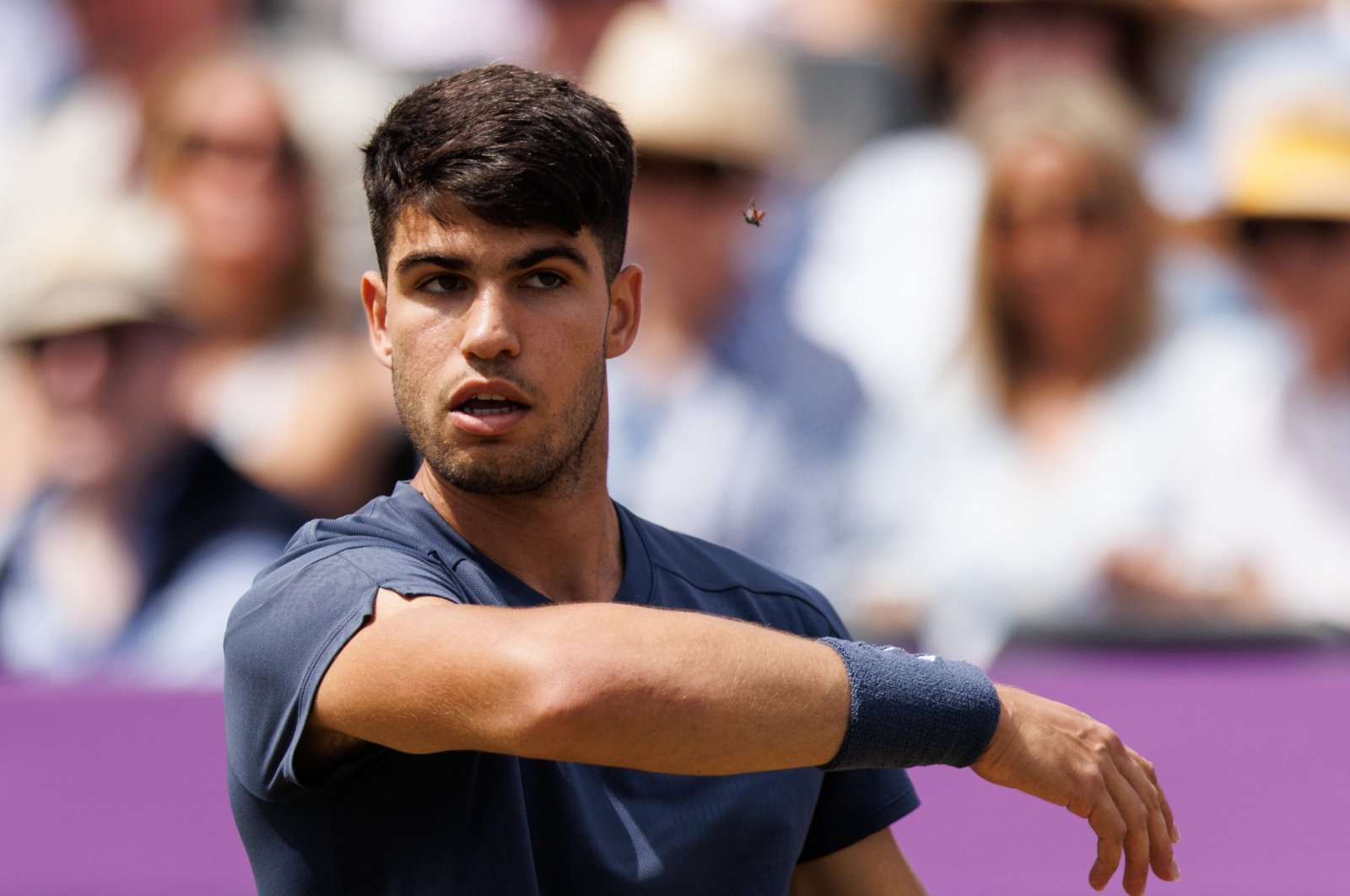 Spain&#039;s Carlos Alcaraz is interrupted by an insect during his second round match against Britain&#039;s Jack Draper at the Queen&#039;s Club tournament, London, U.K., June 20, 2024. (EPA Photo)