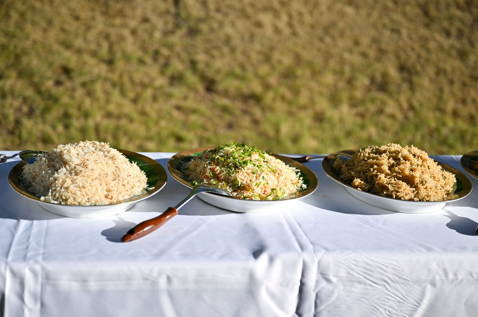 The Pakistan Cultural and Cuisine Festival, showcasing three different rice-based meals, Ankara, Türkiye, on June 27, 2024. (AA Photo)