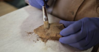 Cave artifacts, believed to be 350,000 years old in Gurs Valley are analyzed by experts, Mardin, Türkiye, July 1, 2024. (AA Photos)