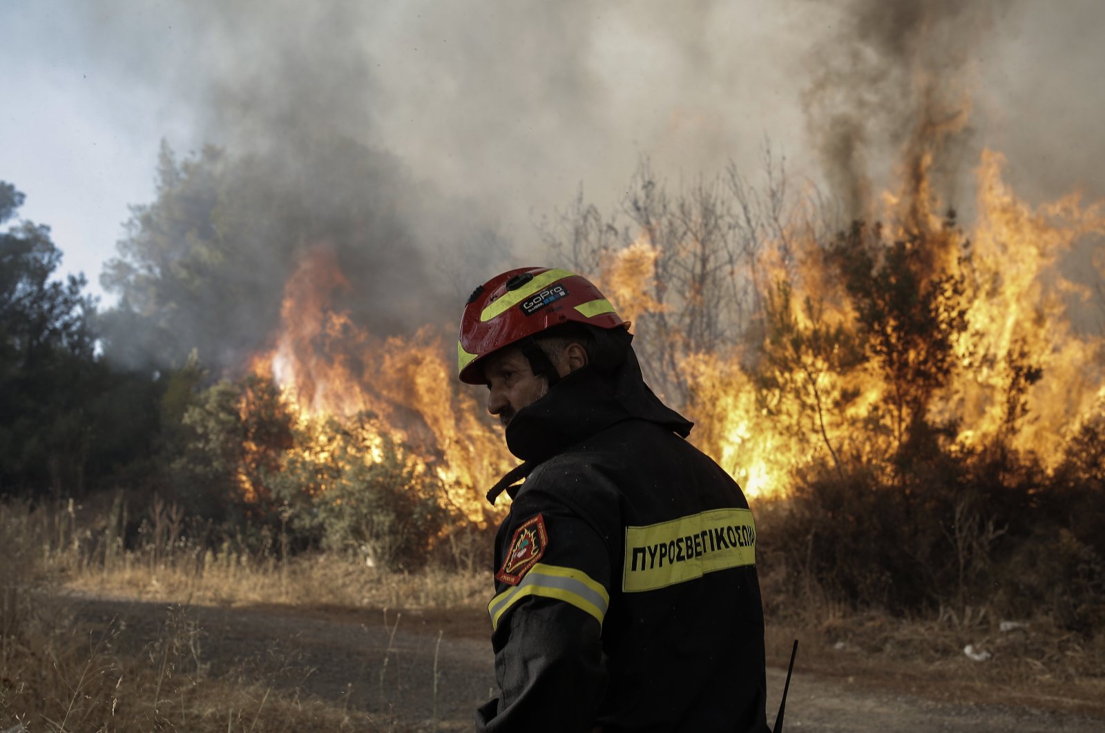 A firefighter stands by a fire while operating during a wildfire in the residential area of Stamata near Athens, Greece, June 30, 2024. (EPA Photo)