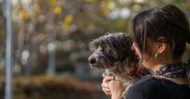 Dogs make up approximately 1 million of Türkiye&#039;s registered household pets. (Getty Images Photo)
