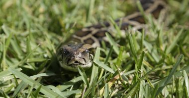 The victim had gone missing after she left her house Tuesday morning.