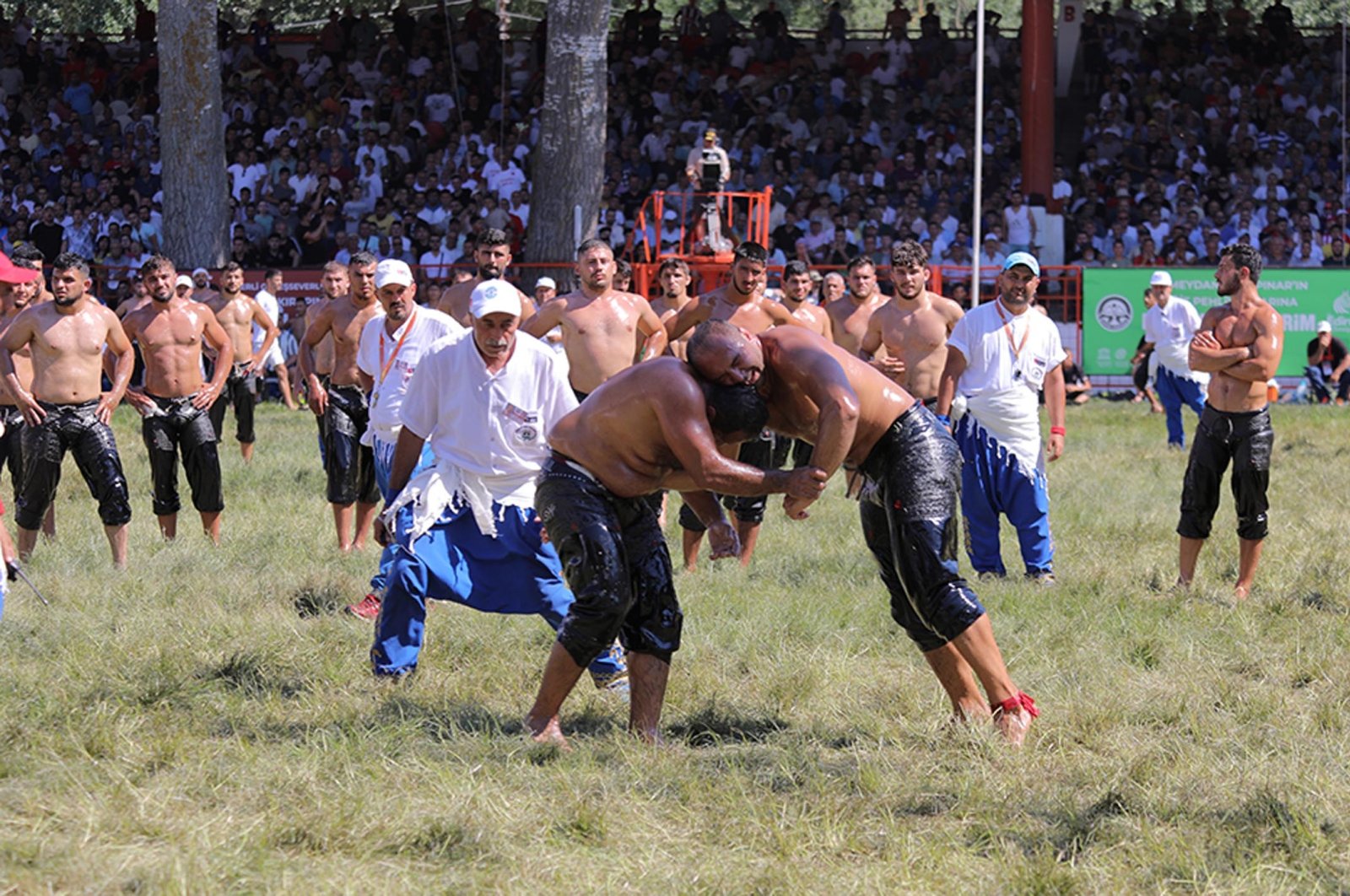 Preparations are continuing for the Kırkpınar Oil Wrestling Festival to be held in Edirne, Türkiye, between July 4-7. (DHA Photo)