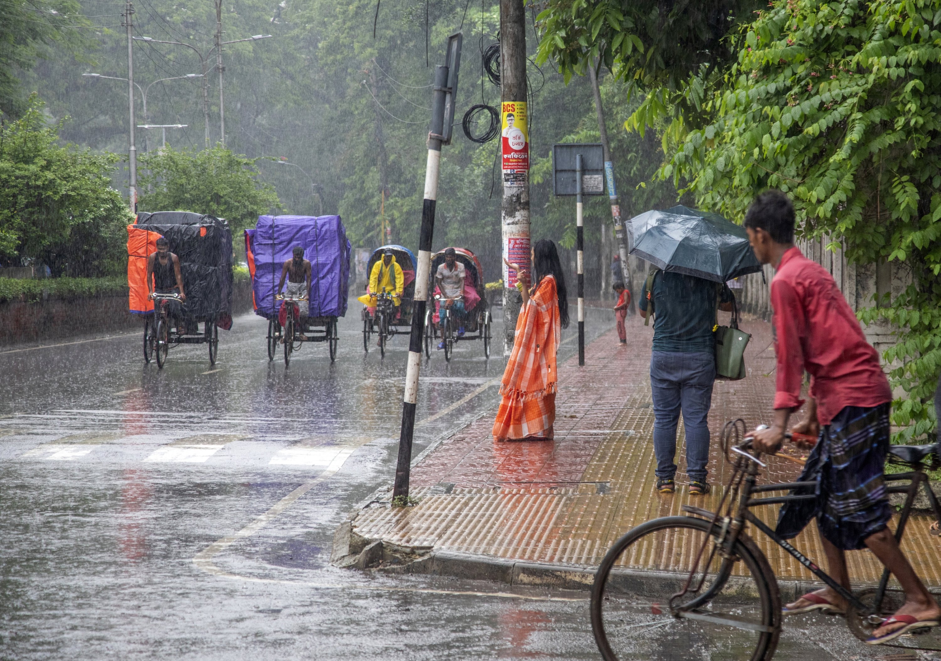 Rickshaw pullers ride their rickshaws during a rainy day at Dhaka University campus, Dhaka, Bangladesh, July 3, 2024. (EPA Photo)
