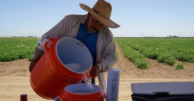 Agricultural worker Ernesto Hernandez refills a water cooler while enduring high temperatures at a tomato field, as a heat wave affects the region near Winters, California, U.S., July 13, 2023. (Reuters Photo)