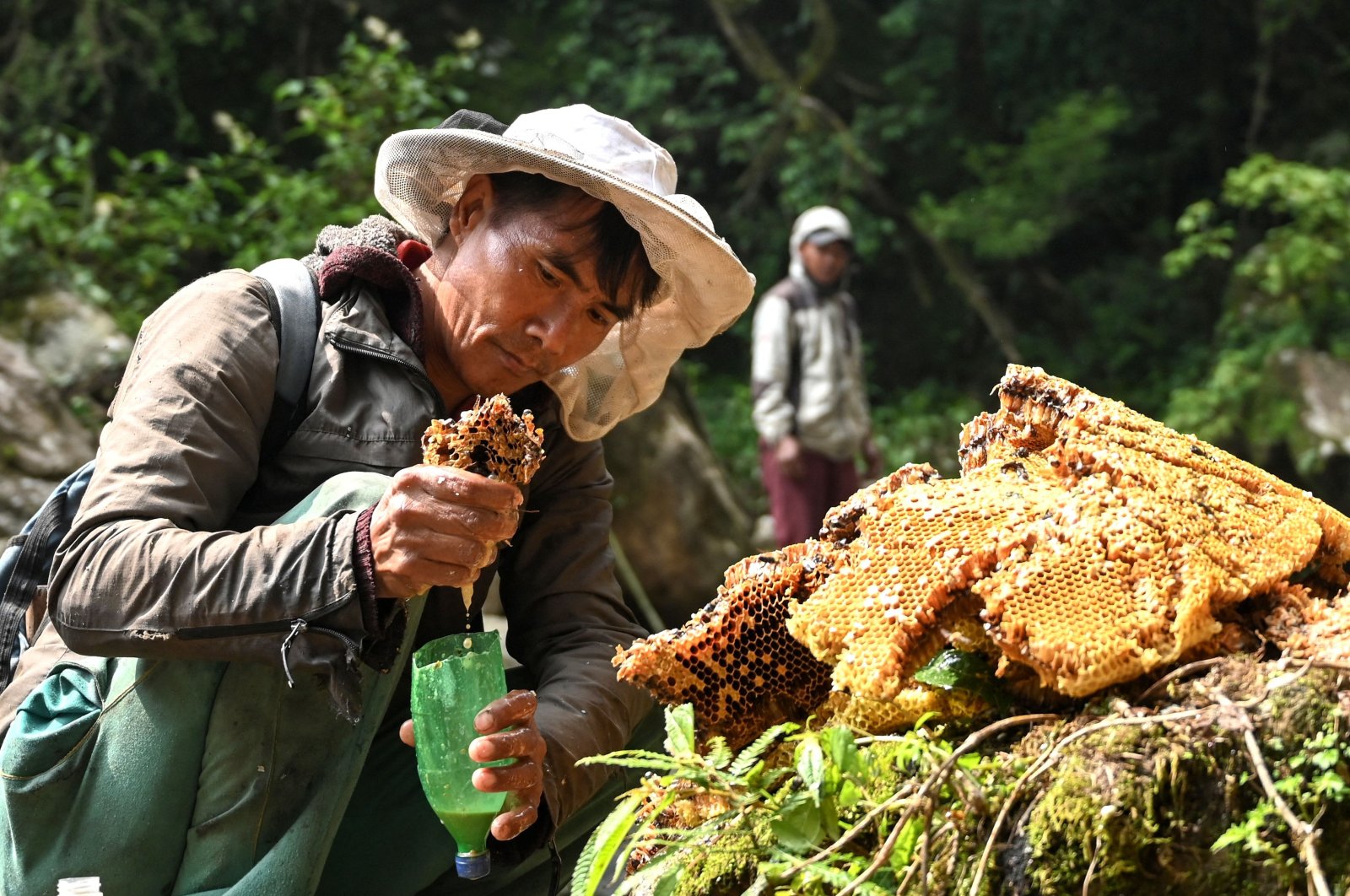 Honey hunters of the Gurung ethnic community harvest honeycomb at a cliff in the Lamjung district of Nepal, June 9, 2024. (AFP Photo)