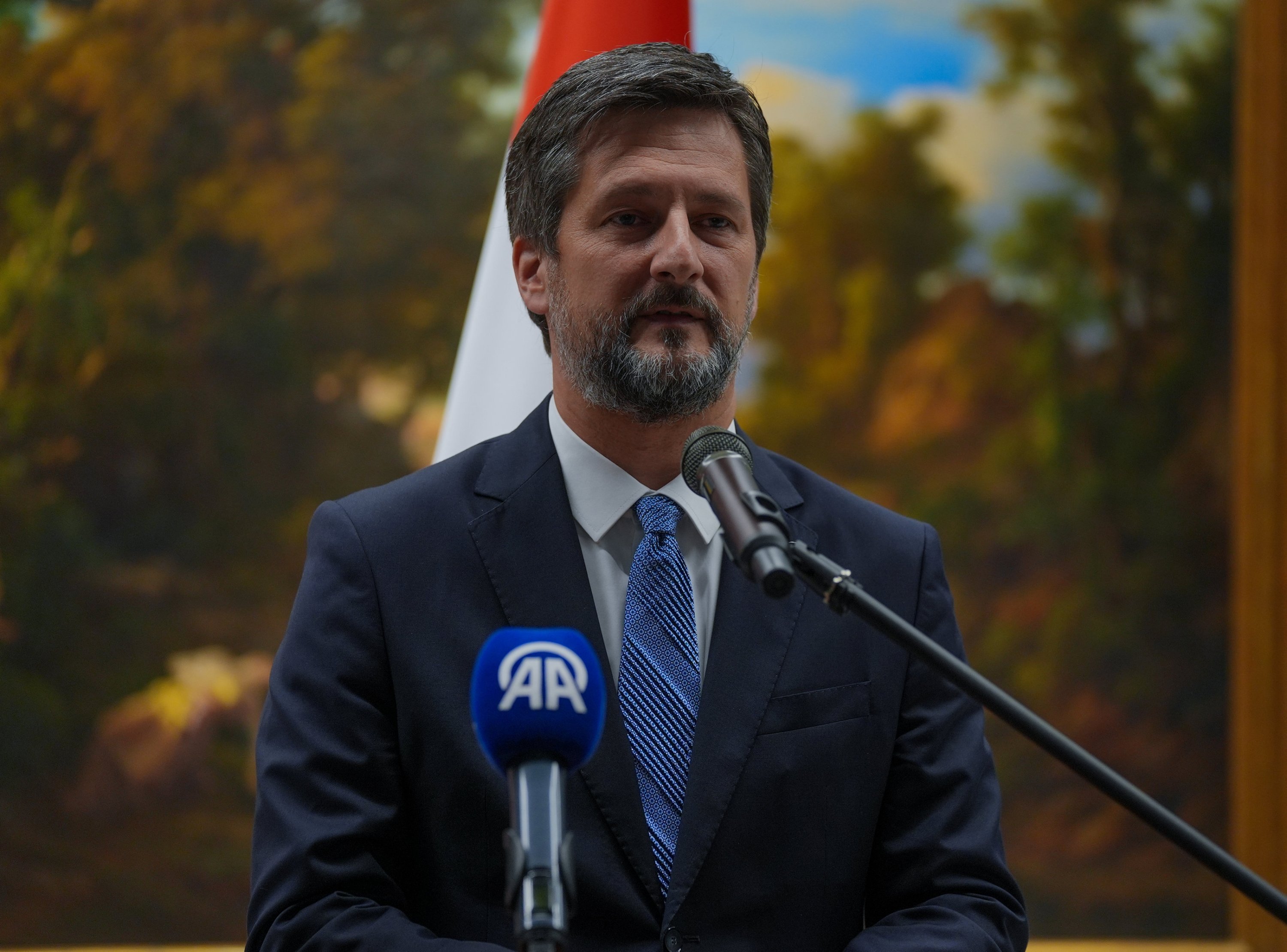 At the opening, Hungary's Ambassador to Ankara, Viktor Matis, gave a speech, Ankara, Türkiye, June 7, 2024. (AA Photo)