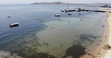 The Marmara Sea is threatened by marine pollution and rising temperatures, Türkiye, July 2, 2024. (IHA Photo)