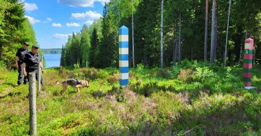 Finnish border guards and their dog Nita patrol the Finnish-Russian border which is marked by a narrow clearing in the forest near Hoilola village, in Eastern Finland, June 5, 2024. (Reuters File Photo)