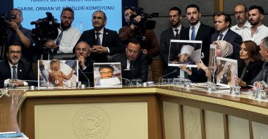 The parliamentary commission discusses a law proposal on stray animals, Ankara, Türkiye, July 17, 2024. (DHA Photo)