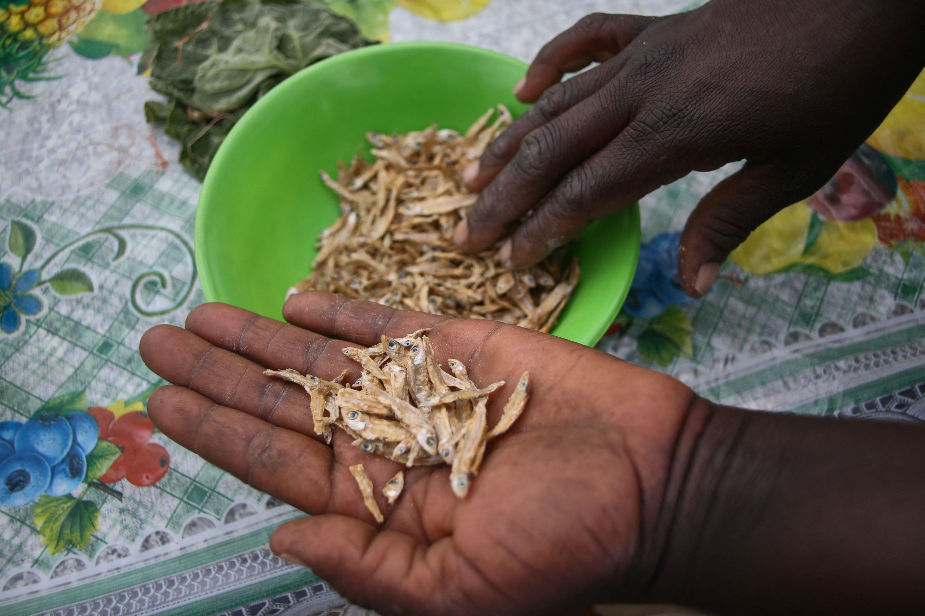 A lady selects dried kapenta fish which is ground into a powder before it is used in a porridge formulation dubbed maworesa, which translates to 