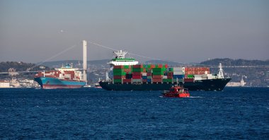 A container ship sails in the Bosporus, Istanbul, Türkiye, June 23, 2021. (Shutterstock Photo)